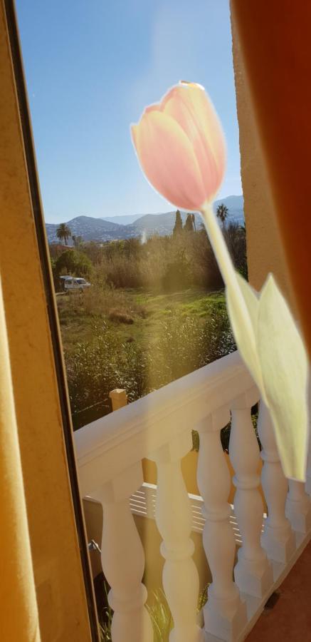 Apartamento Mar Y Sol, Denia Exteriér fotografie